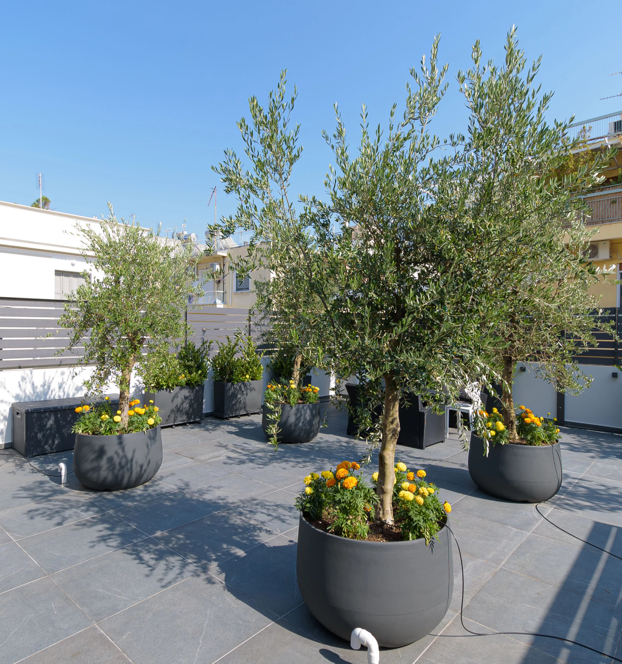 Roof Gardens